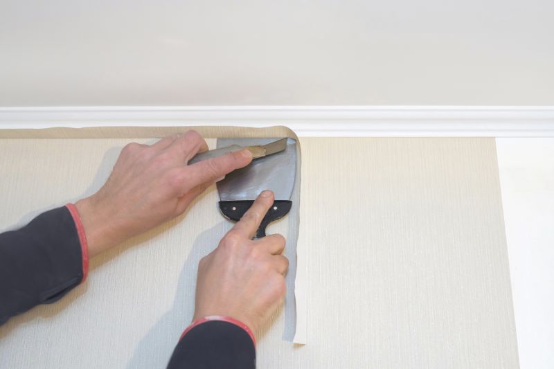 Wallpaper Restoration in Denver County, CO